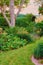 Scenic view of a lush private garden at home with vibrant growing flora and trees. Botanical plants, bushes, shrubs and