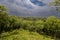 Scenic view of a lush valley with tall trees on both sides in Wildcat Bluff, Illinois.