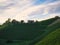 Scenic view of  a lush vineyard on hills on a sunny day in Glanz, Austria