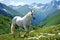 Scenic view. majestic horse grazing on vibrant alpine meadow, perfect for adding text or captions