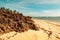 Scenic view of Malindi Beach with Mangrove trees growing on coral rocks in Malindi, Kenya