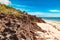 Scenic view of Malindi Beach with Mangrove trees growing on coral rocks in Malindi, Kenya