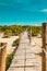 Scenic view Mangrove boardwalk in Mida Creek in Watamu, Kilifi County in Kenya