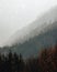 Scenic view of a misty mountain range, with a cluster of trees in the foreground and wispy clouds