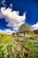 Scenic view of mossy river flowing downstream among grassland with trees under blue cloudy sky