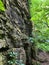 Scenic view of mountain bluffs in Janesville, Wisconsin