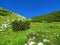 Scenic view of a mountain medow under Rodica