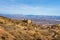 Scenic view of the mountain town of Jerome in Arizona