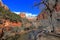 Scenic view of mountains in Zion national park, Springdale,