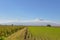 A scenic view of Mout Ararat from Armenia.