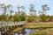 Scenic View near Emerald Isle, North Carolina