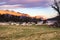 Scenic view on New Zealandan Southern Alps during purple orange sunset and sheep