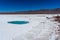 Scenic view of an oasis with turquoise water lagoon in the Atacama desert, Chile