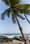 scenic view of ocean waves and palm trees on coastline, sri lanka, mirissa