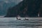 Scenic view of orcas swimming in the sea with mountains in the background