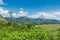 Scenic view over Eravikulam National Park  in Kerala, South India on sunny day