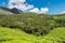 Scenic view over Eravikulam National Park tea plantations in Kerala, South India on sunny day