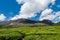 Scenic view over Eravikulam National Park tea plantations in Kerala, South India on sunny day