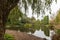 Scenic view over a pond in a botanical garden framed by a babylon weeping willow