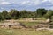 Scenic view of a pair of endangered southern white rhinoceros Ceratotherium simum simum near a river