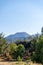 Scenic view of Paricutin volcano in Michoacan on a sunny day, Mexico