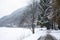 Scenic view of path around lake, Zeller See, Zell