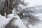 Scenic view of path around lake, Zeller See, Zell