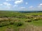 Scenic view of a path on the edge of moorland in calderdale west yorkshire with rough tussock grass with dry stone walls