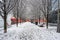 Scenic view of a pathway covered with snow, lined with trees in a park