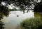 Scenic view of a person paddling on a boat in a lake surrounded by green trees