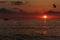 Scenic view of a person parasailing on the beach while the sun is setting in the background