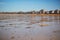 Scenic view of Plage du Sillon beach in Saint-Malo, Brittany, France