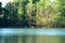 Scenic view of plants beside lake and river