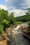 Scenic view of raging river surrounded by lush greenery