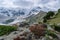 Scenic view of Rakaposhi glacier and peak in Minapin, Karakoram highway, Pakistan