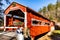 Scenic view of the red East and West Paden Twin Covered Bridges in Orangeville, Pennsylvania