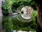 Scenic view of a reflective river with arches covered with climbing green plants, Utrecht