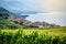 Scenic view of Rivaz village in middle of Lavaux terraced vineyards over Geneva lake in Lavaux Switzerland