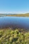 Scenic view of a river flowing through a swamp and leading to the ocean in Norway. Landscape view of blue copy space sky