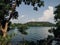 Scenic view of a river seen through lush, tall trees