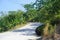 Scenic view of road against the ocean and trees