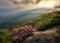 Scenic view, Roan Highlands, Tennessee