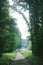 scenic view of rural road between trees in Hamburg