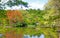 Scenic View of Ryoanji Temple Garden in Osaka, Japan in Summer