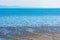 Scenic view of San Francisco Bay from shore. Birds feeding in bay mud exposed during low tide. Background San Mateo - Hayward