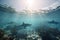 scenic view of sharks and rays swimming in serene ocean setting