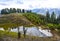 Scenic view of a Siri Paye pond in Kaghan valley, Pakistan