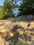 Scenic view at Starved Rock State Park in Illinois