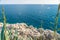 Scenic view from the stone walls of the fortress of Mamula.