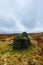 A scenic view of a stony mountain shelter in ruin surrounded with grass and bog under a grey sky